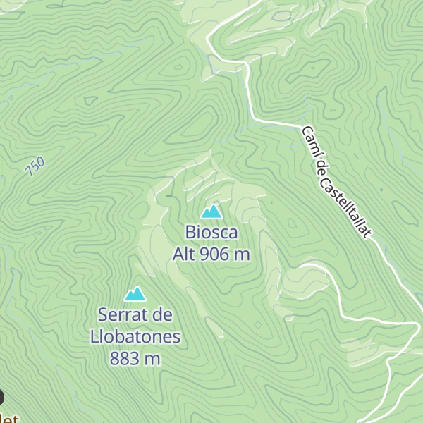 Map of Biosca Alt