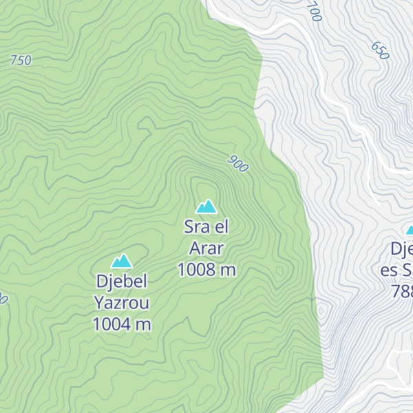 Map of Sra el Arar
