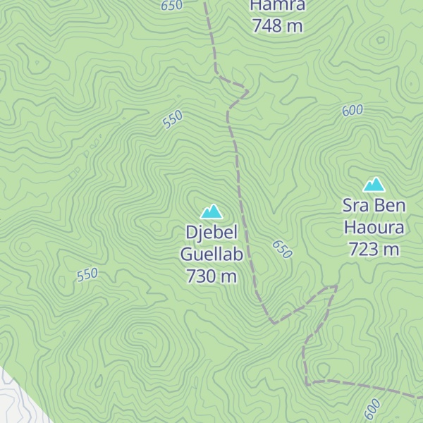 Map of Djebel Guellab