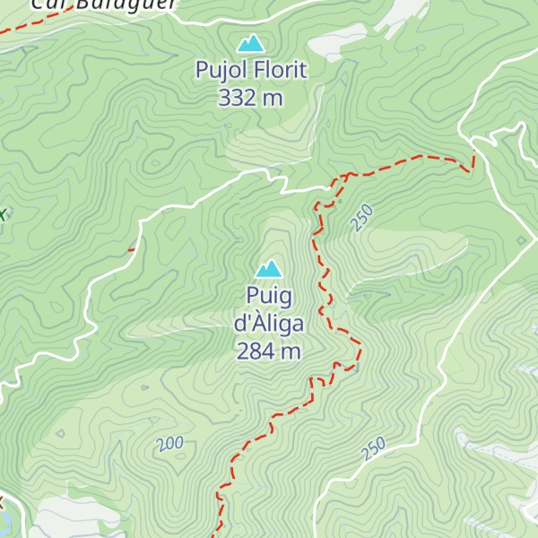 Map of Puig d'Àliga