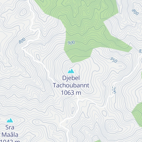 Map of Djebel Tachoubannt
