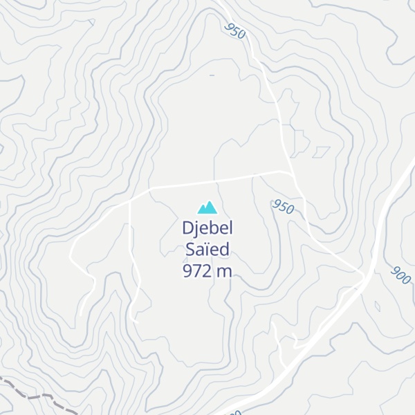 Map of Djebel Saïed