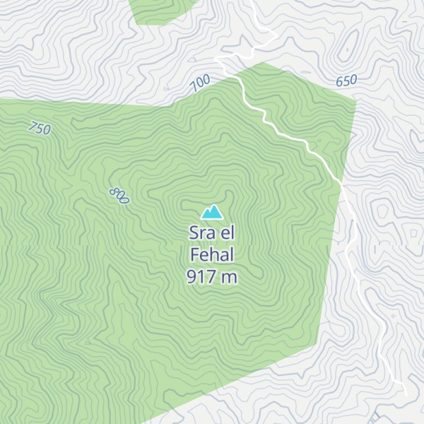 Map of Sra el Fehal