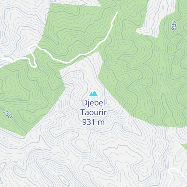 Map of Djebel Taourir