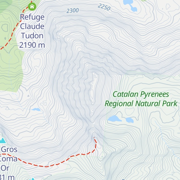 Map of Puig Pedrós Sud