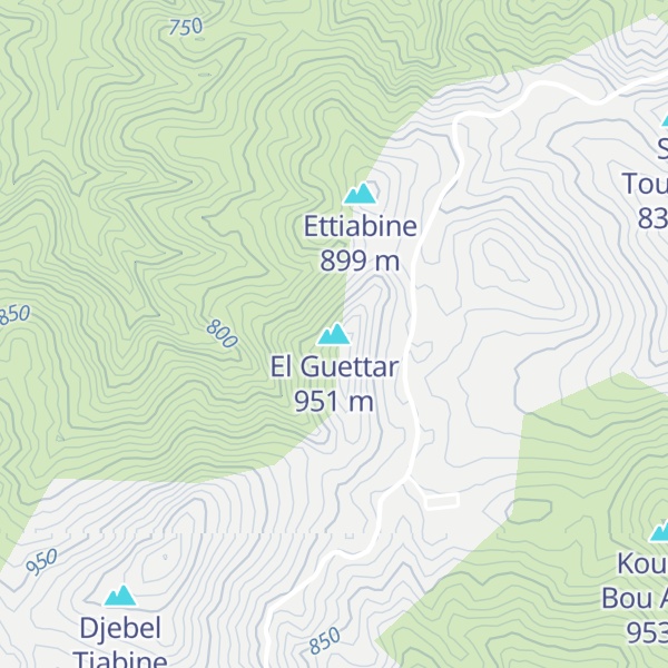 Map of El Guettar