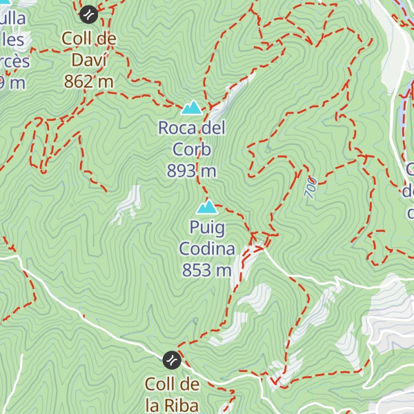Map of Puig Codina