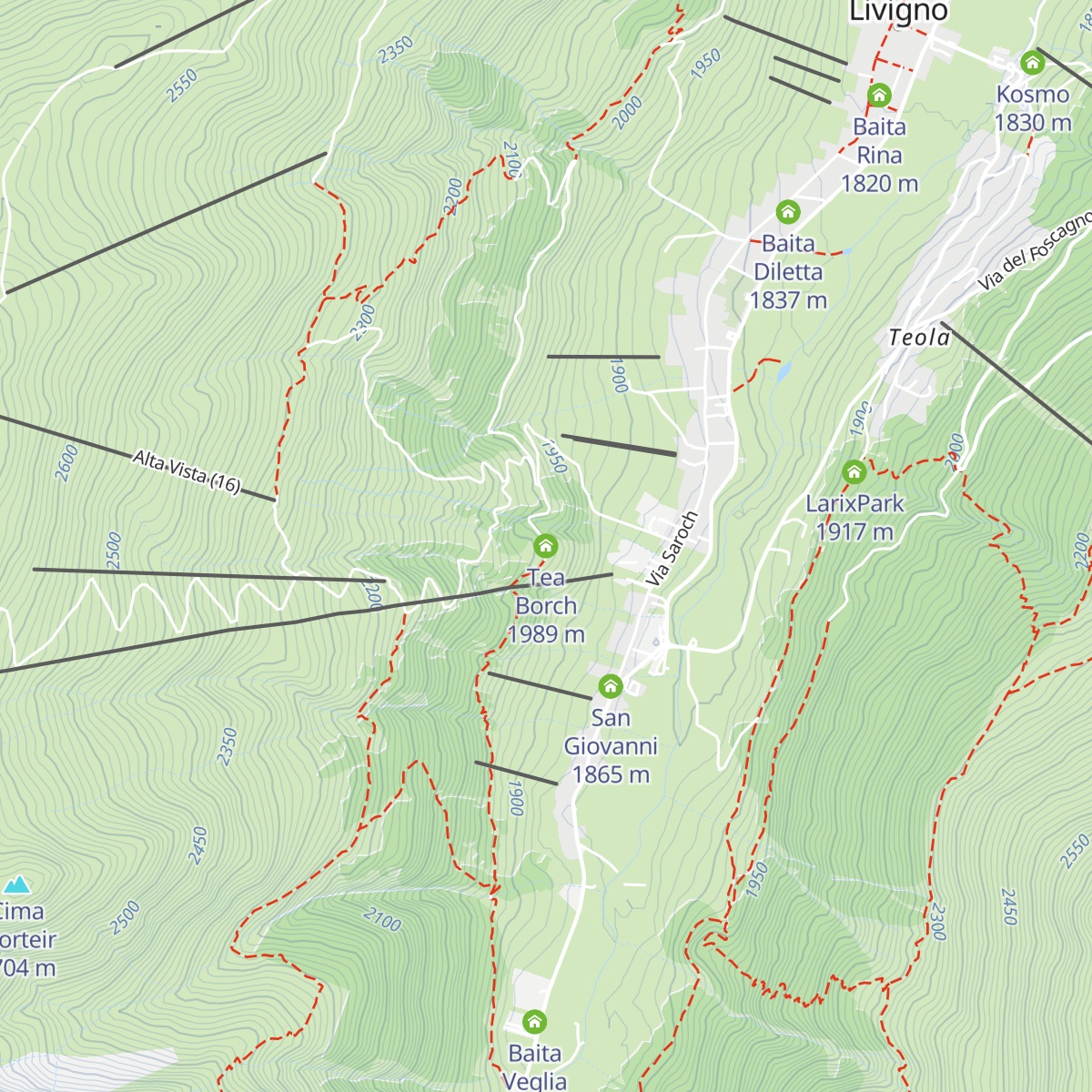 Tea Borch map