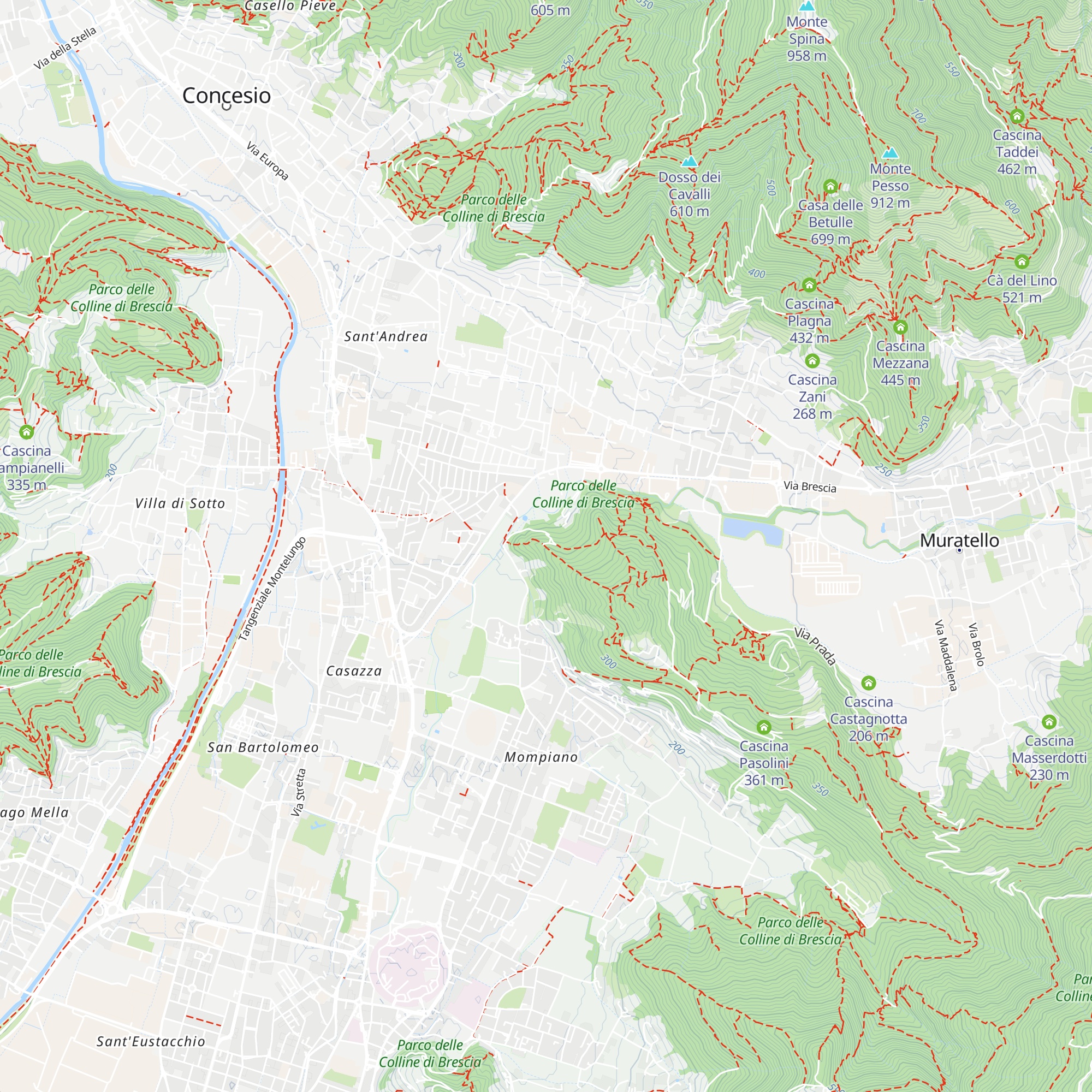 Casinetto map