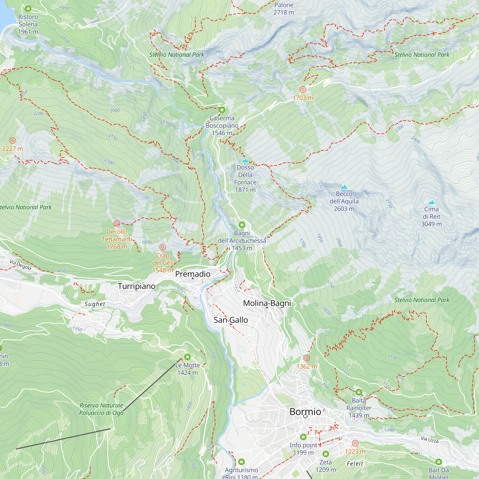 La Pliniana di Bormio, Società Anonima map