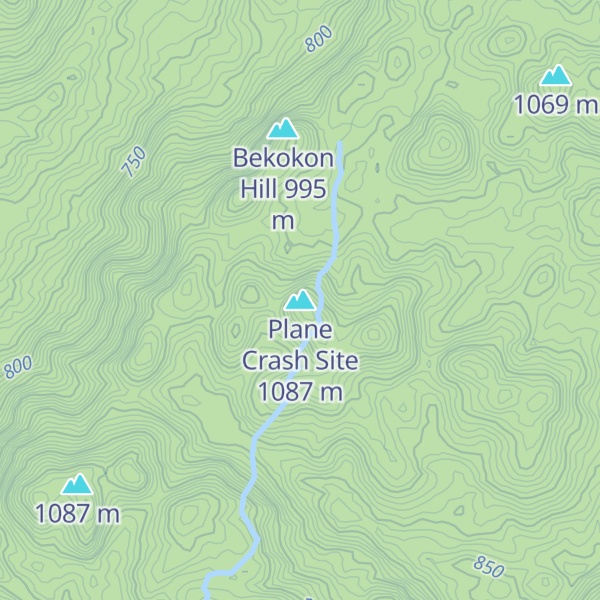 Map of Plane Crash Site