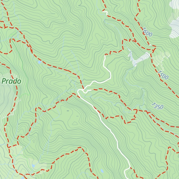 Map of Rifugio Casa del Custode dell'Abetina Reale