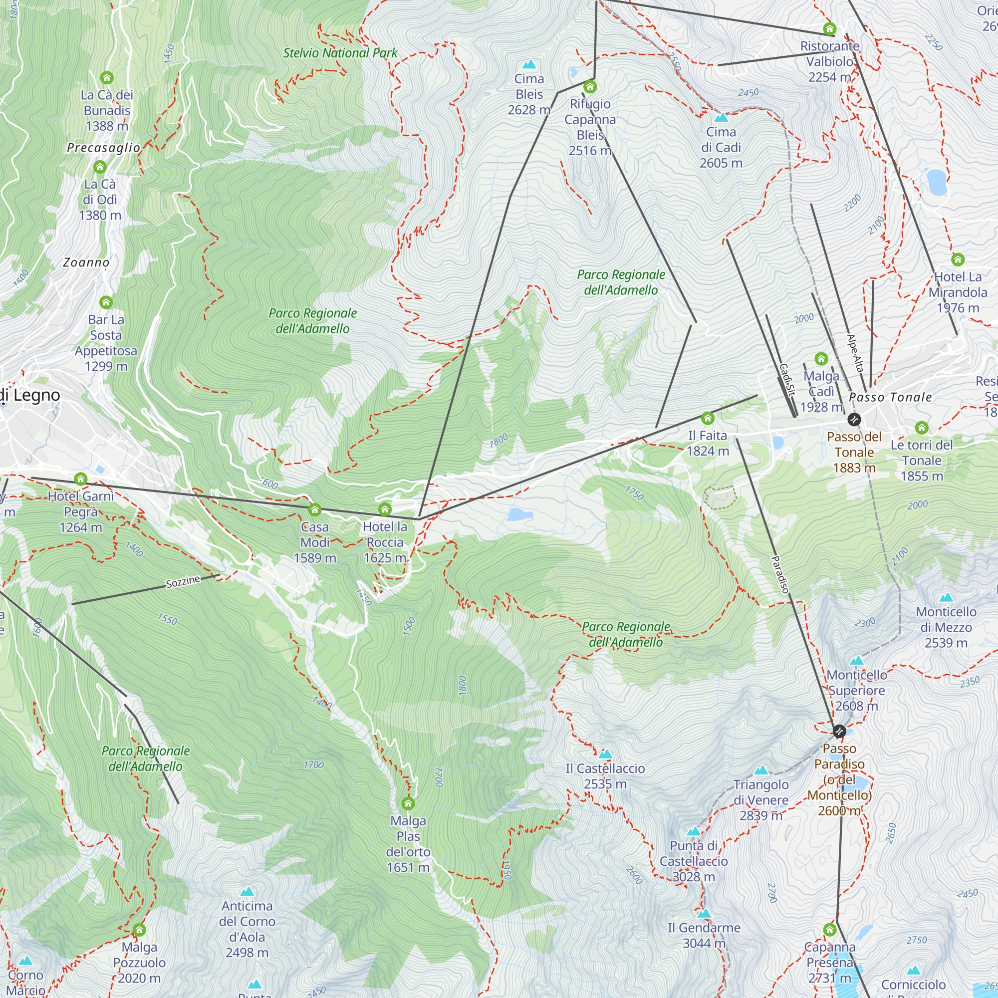 Baita Larici map