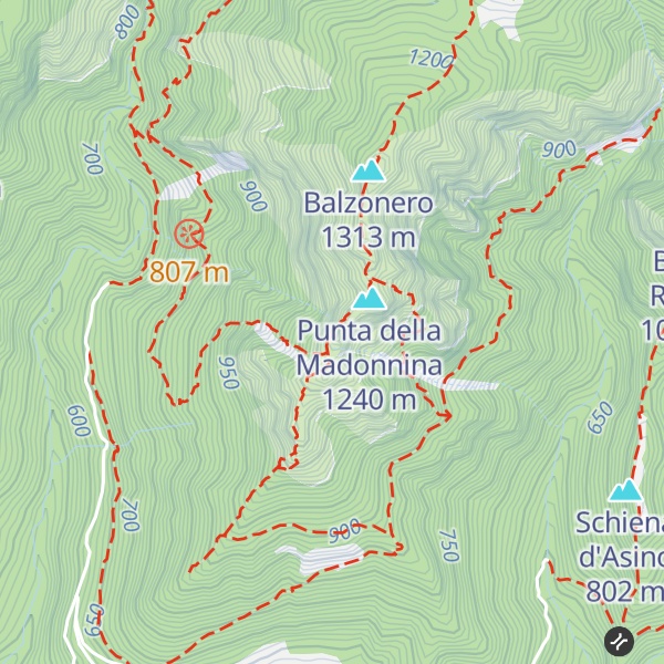 Map of Monte Alto