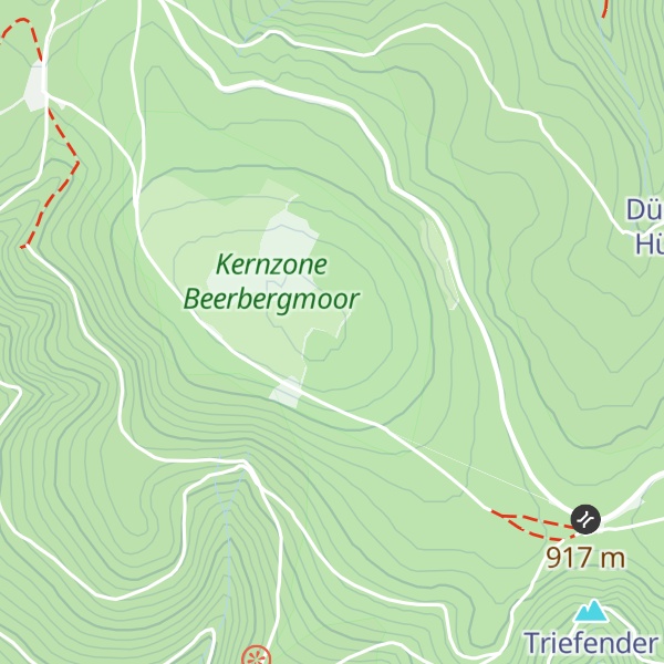 Map of Großer Beerberg