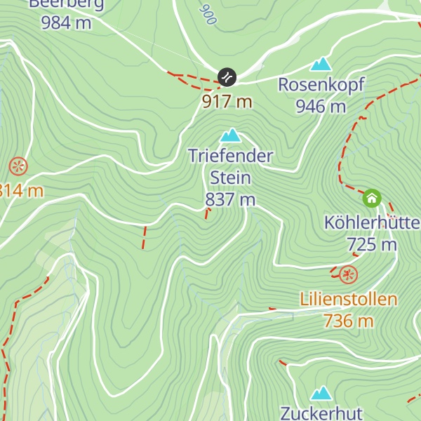 Map of Hütte am Rosenkopf