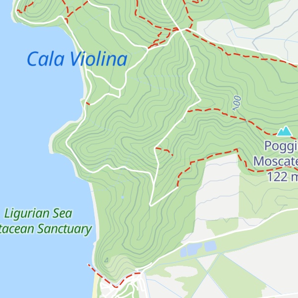 Map of Poggio Carpineta
