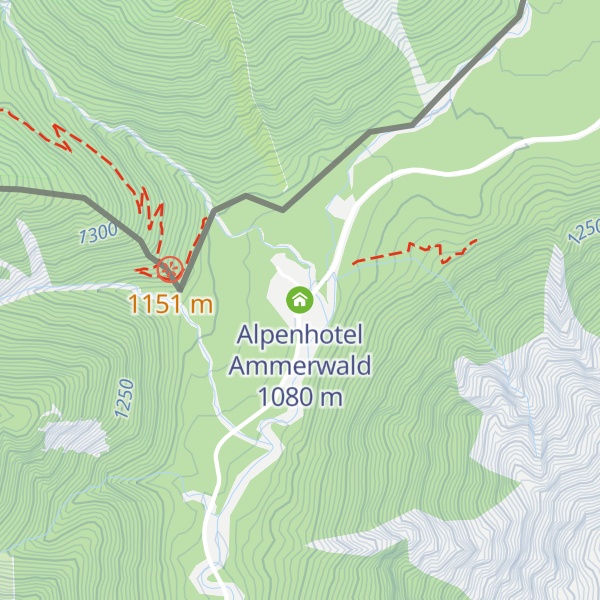 Map of Alpenhotel Ammerwald