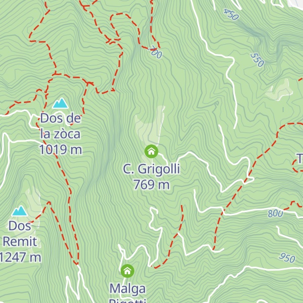 Map of C. Grigolli