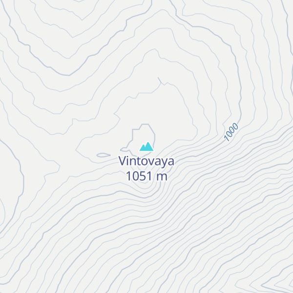 Map of Vintovaya
