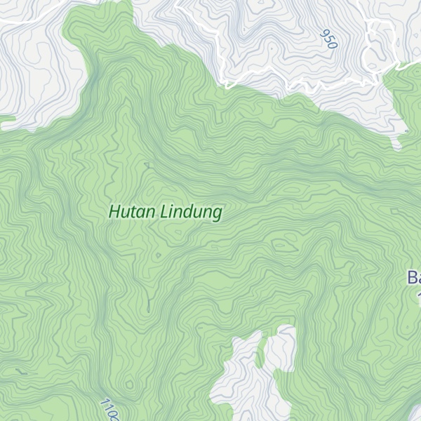 Map of Puncak Ali