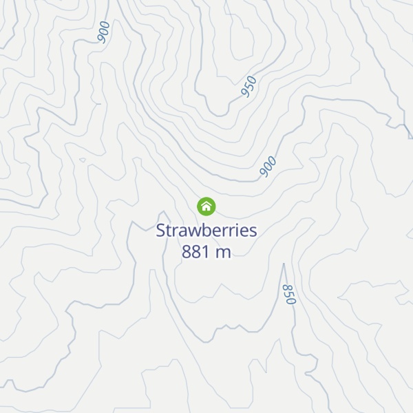 Map of Strawberries