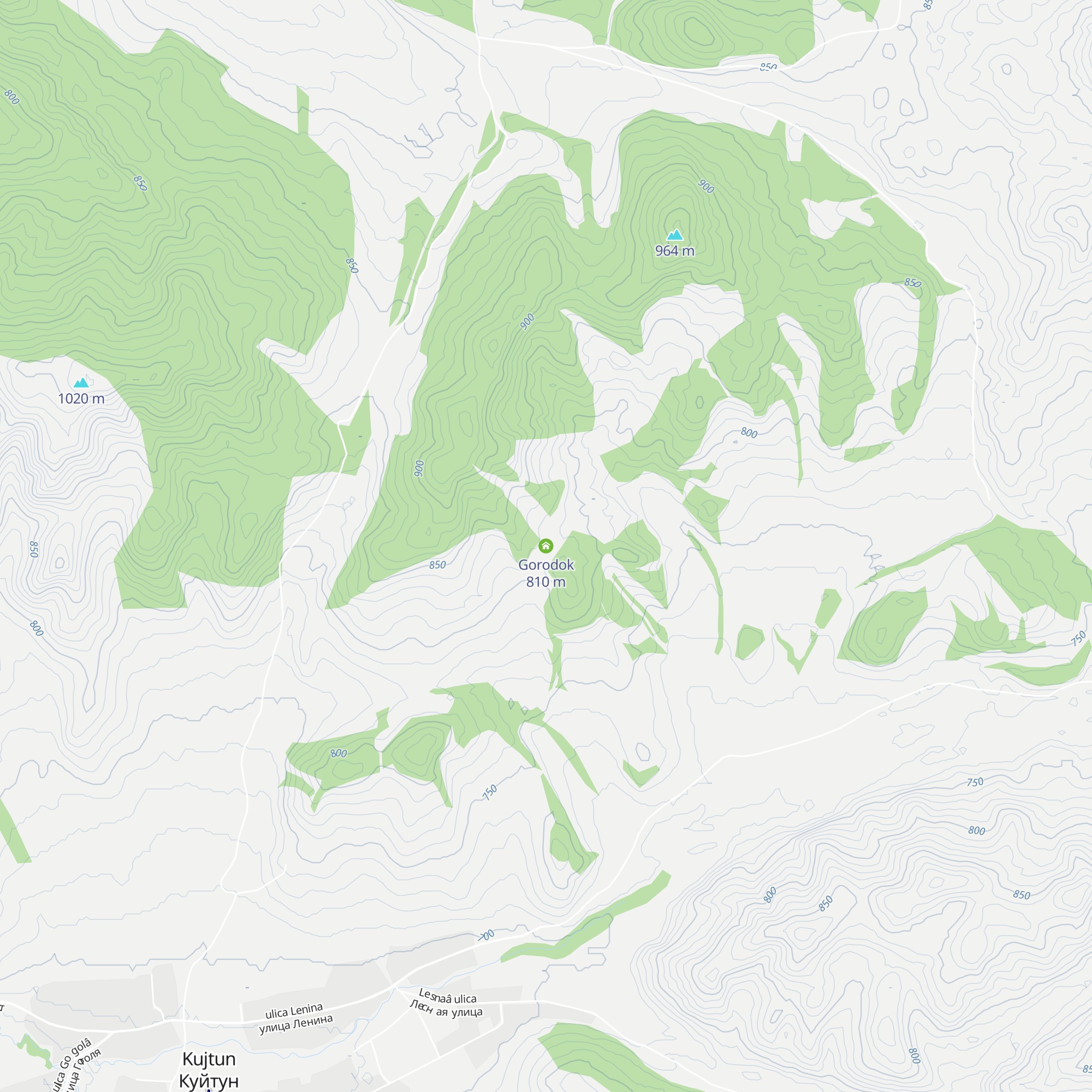 Gorodok map