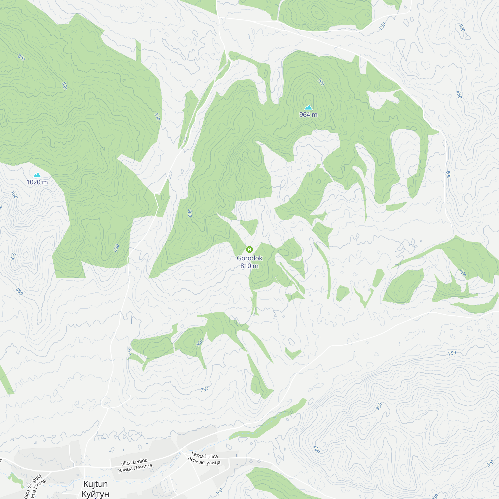 Gorodok map