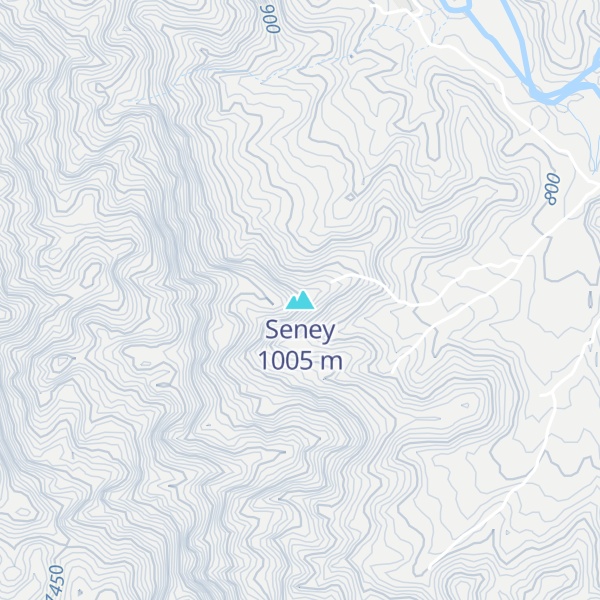 Map of Seney