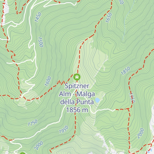 Map of Spitzner Alm - Malga della Punta