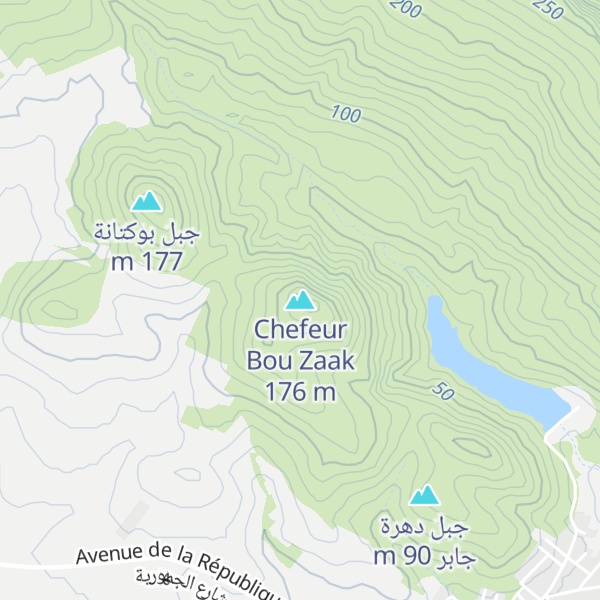 Map of Chefeur Bou Zaak