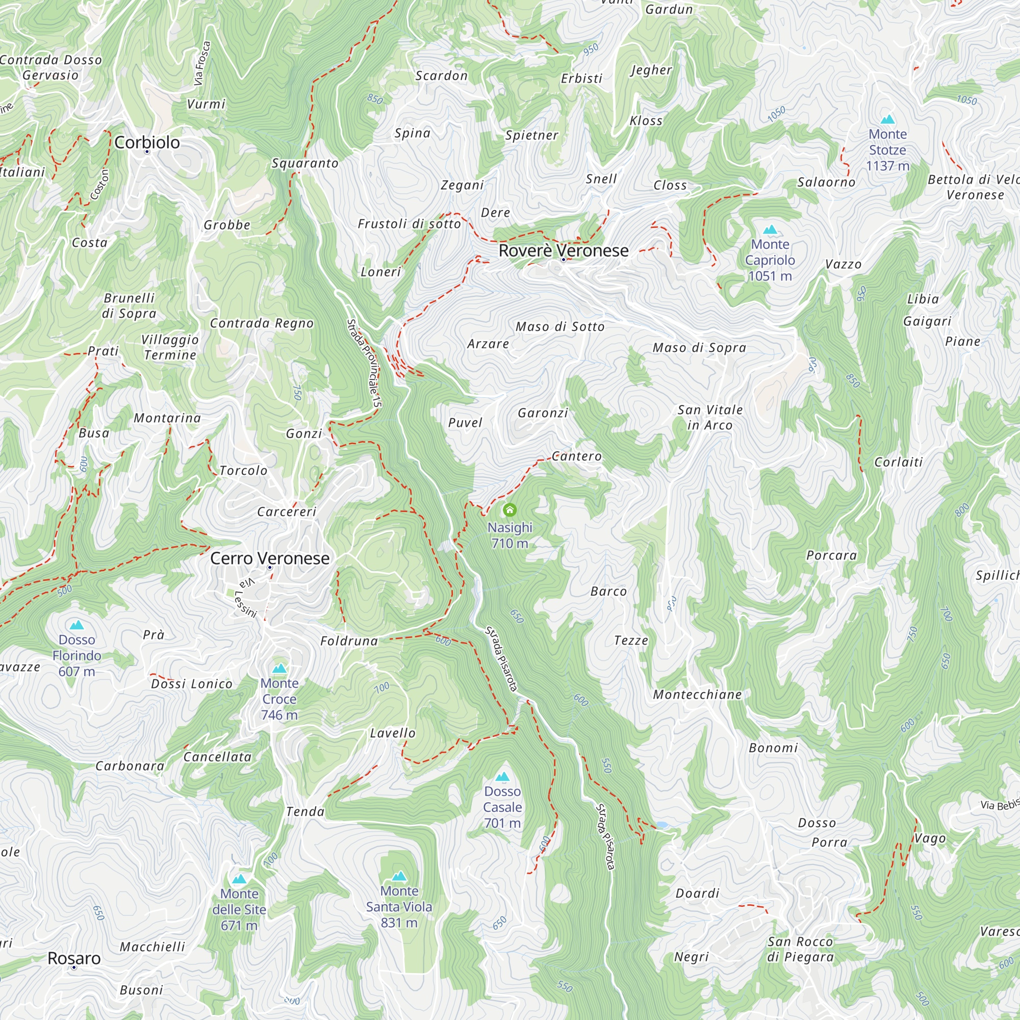 Nasighi map