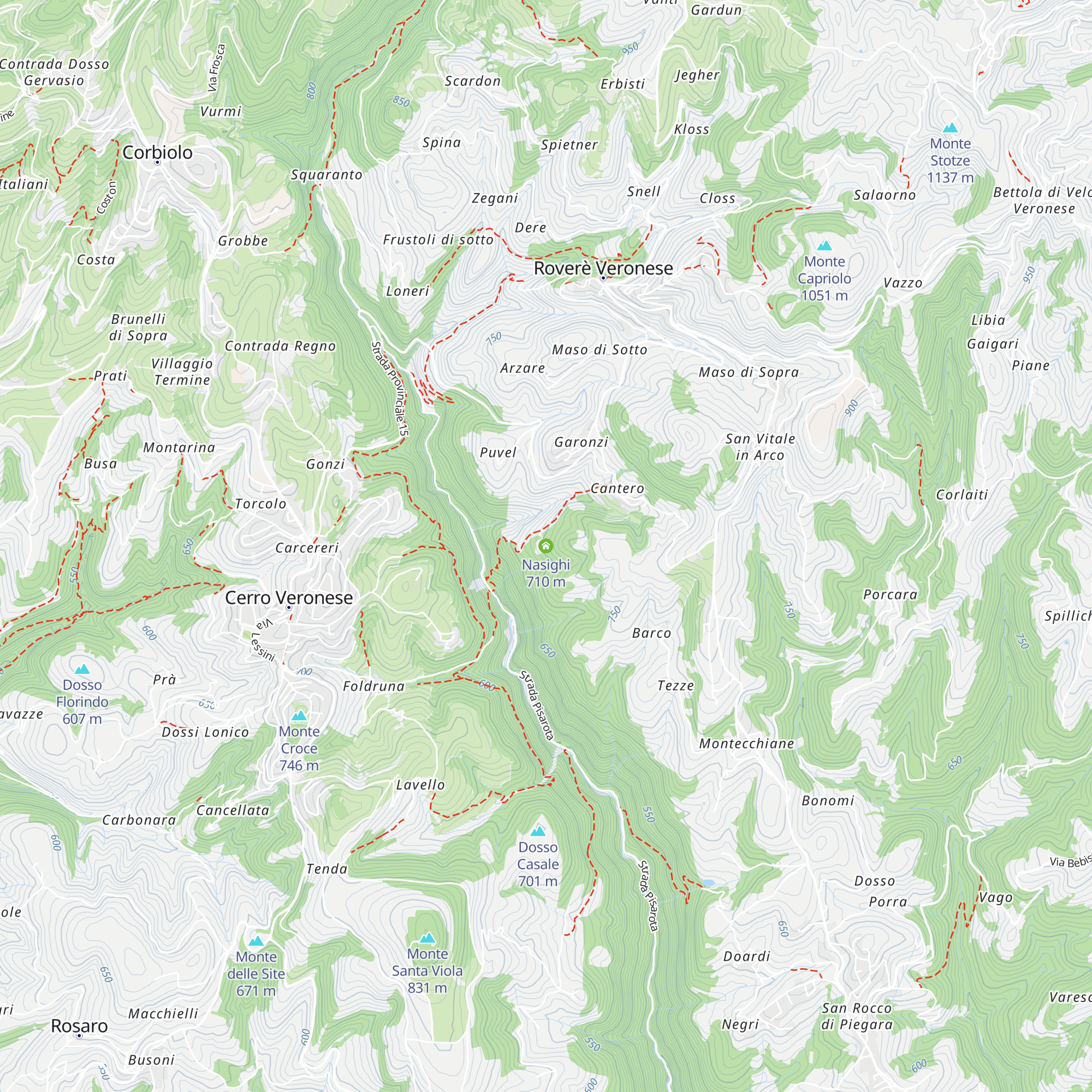 Nasighi map