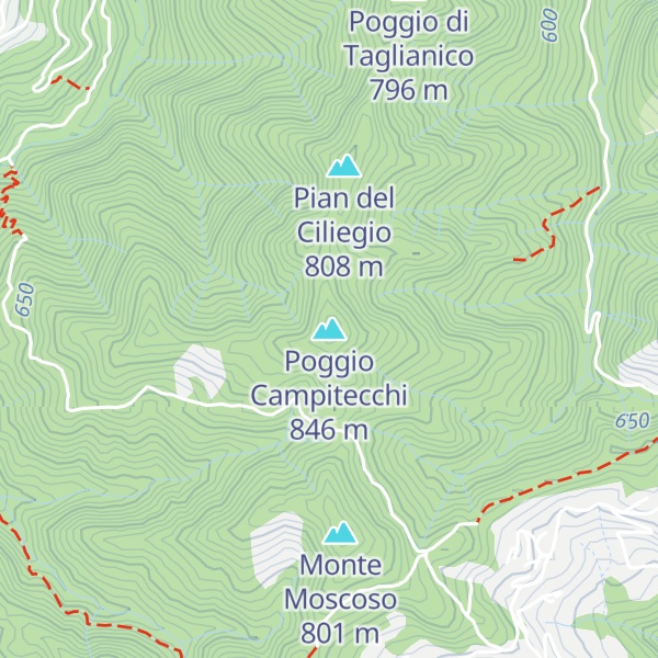 Map of Poggio Campitecchi