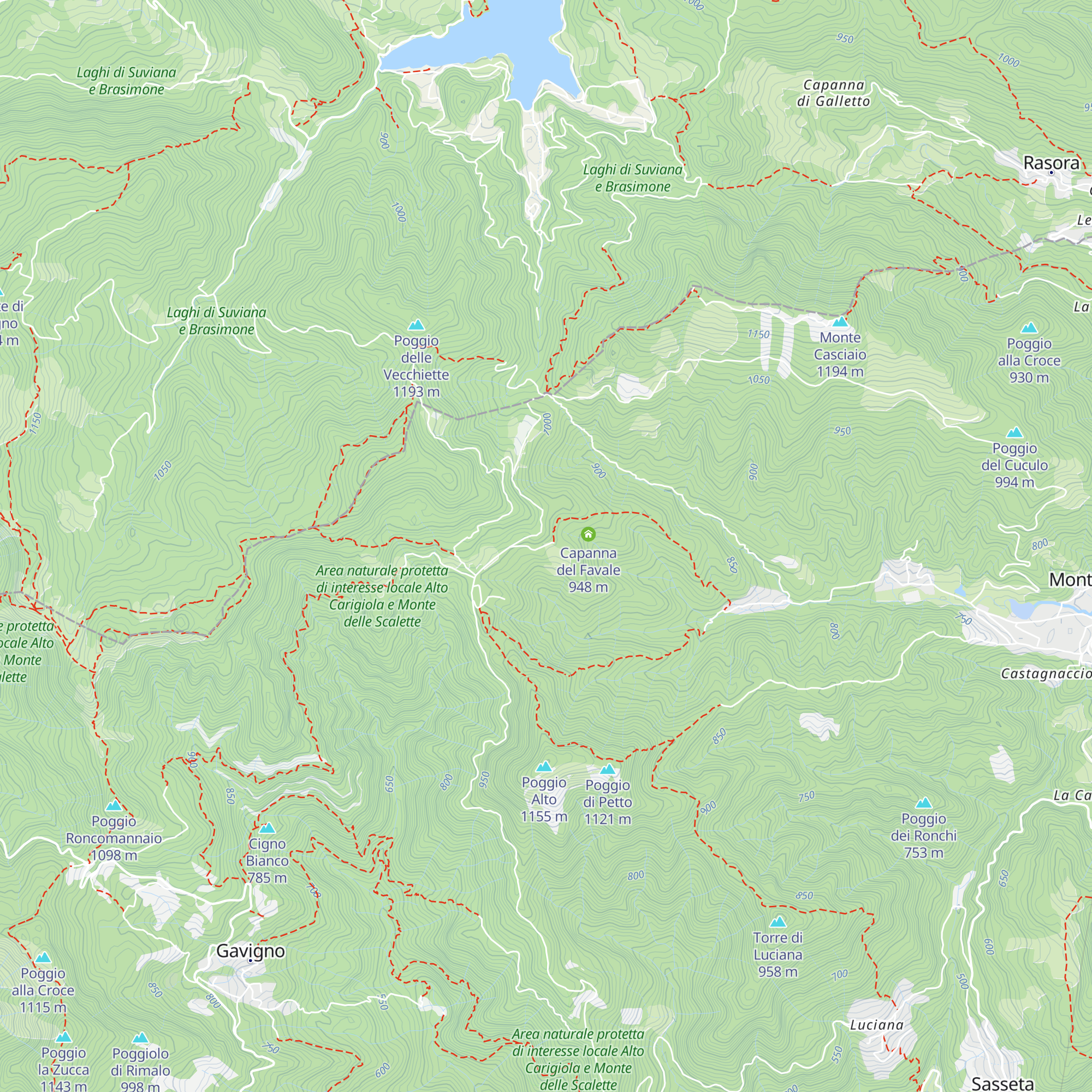 Base Scout "Riccardo Pagnini" map