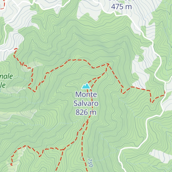 Map of Monte Salvaro