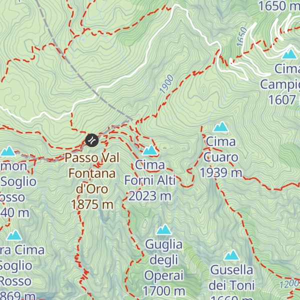 Map of Cima Forni Alti