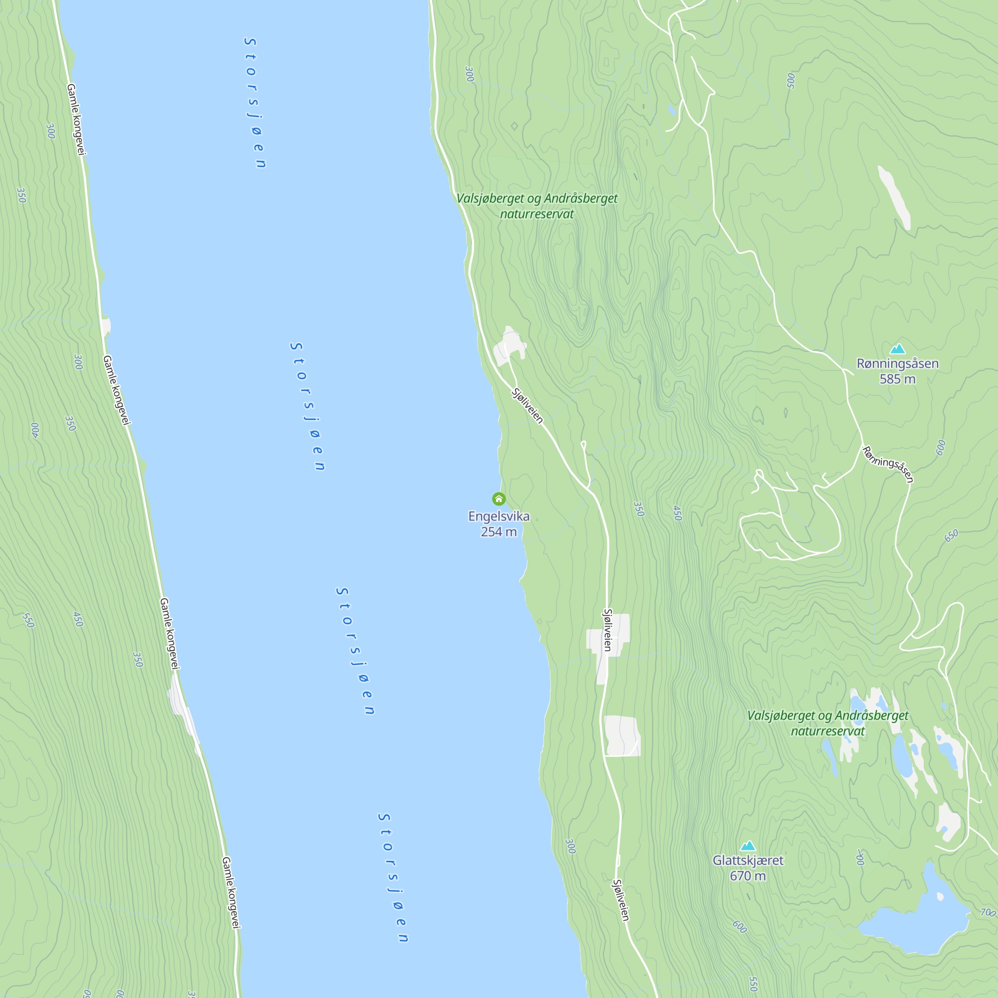 Engelsvika map