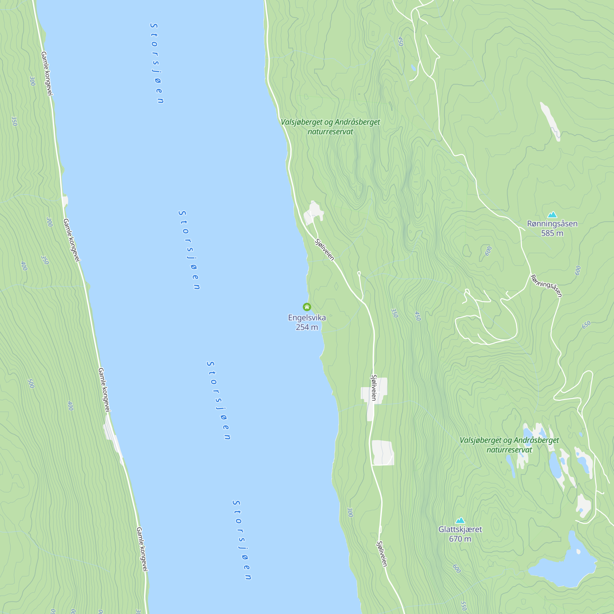 Engelsvika map