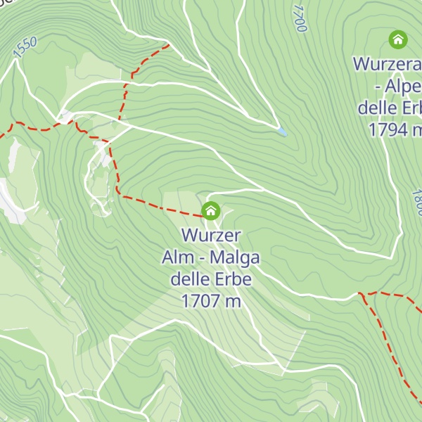 Map of Wurzer Alm - Malga delle Erbe