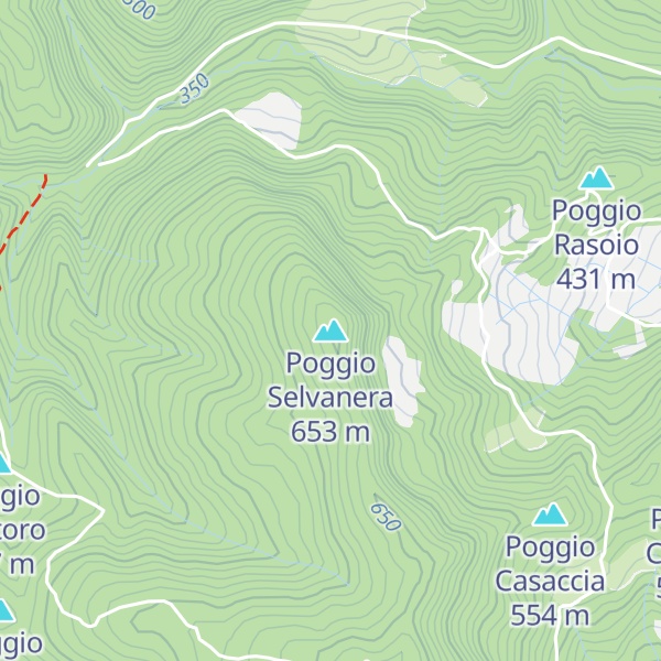 Map of Poggio Selvanera