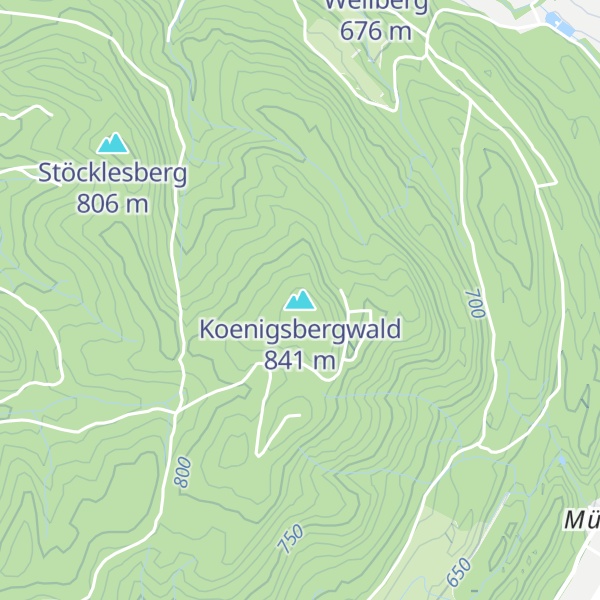 Map of Koenigsbergwald
