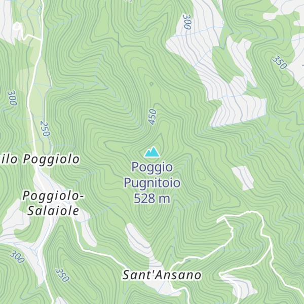 Map of Poggio Pugnitoio