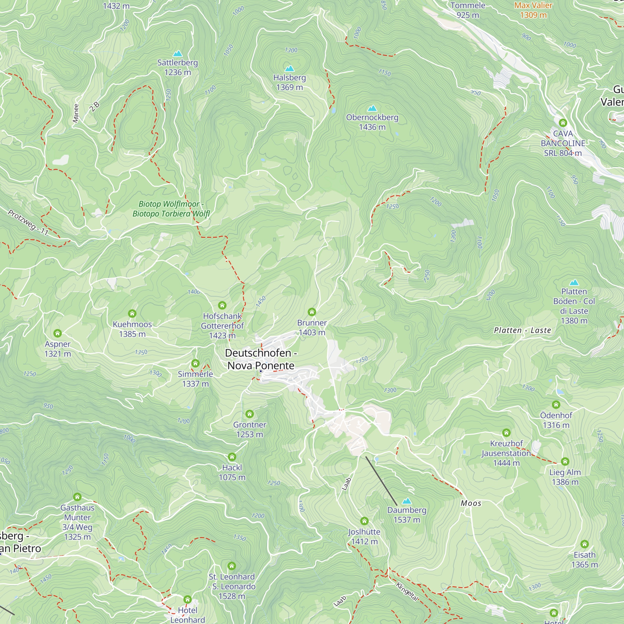 Brunner map