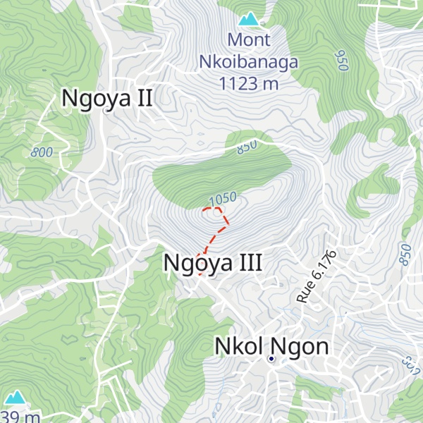 Map of Mont Ngoya