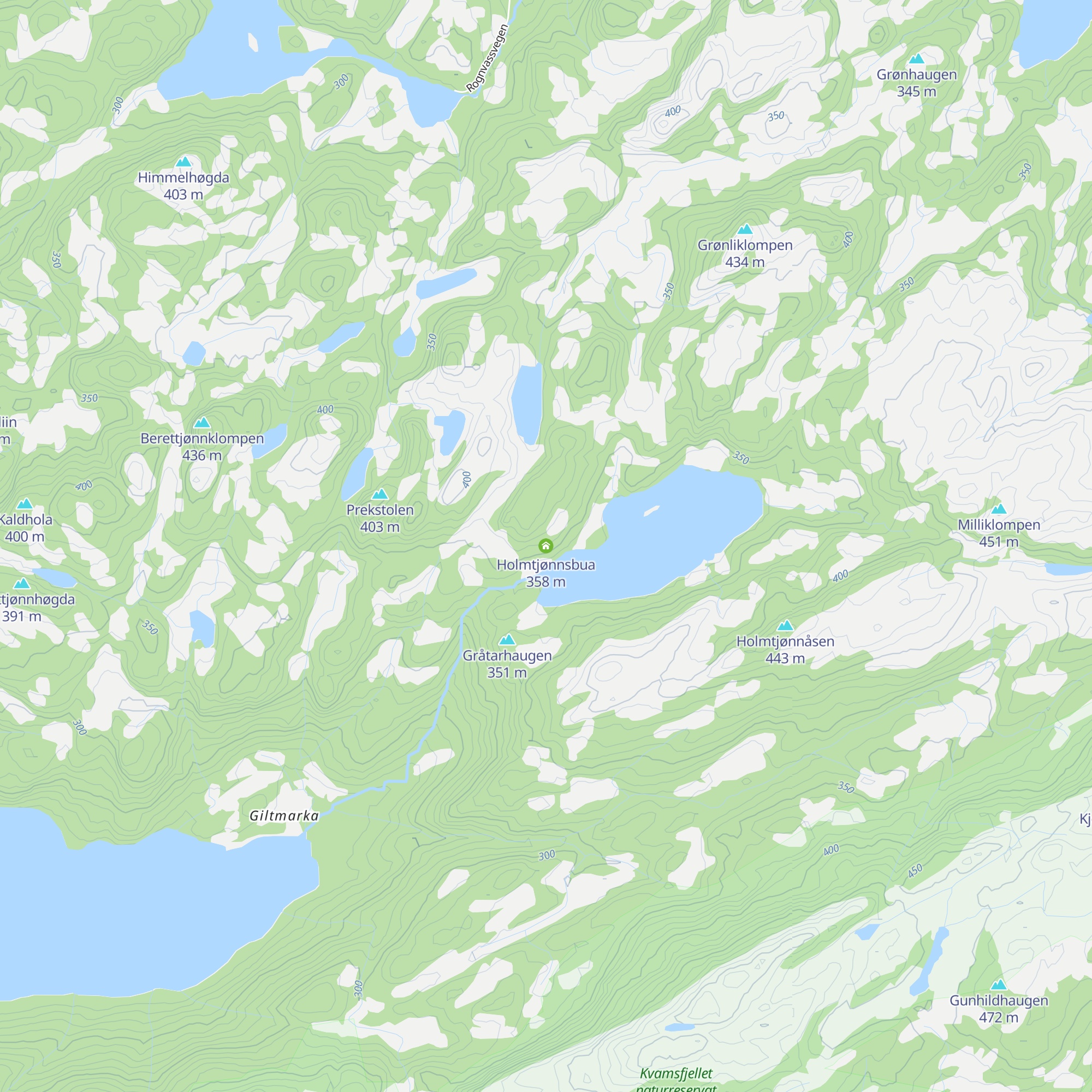 Holmtjønnsbua map