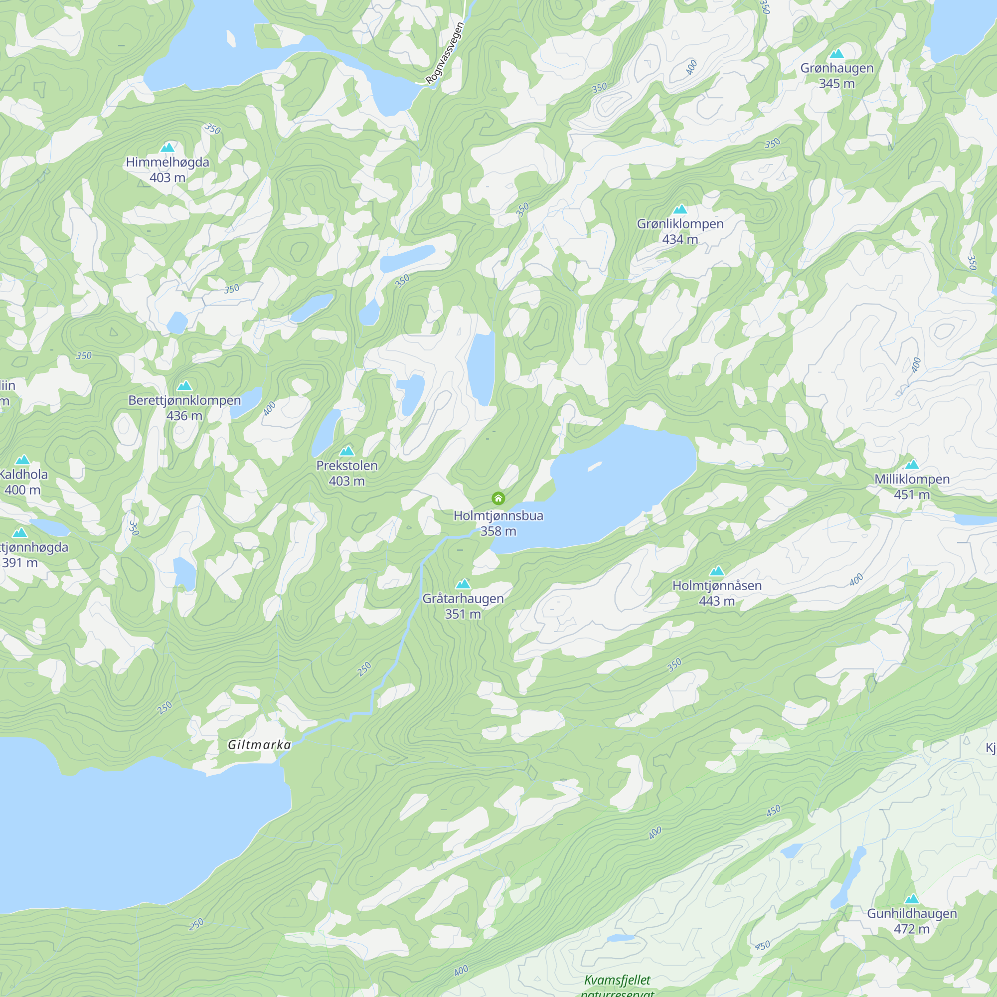 Holmtjønnsbua map