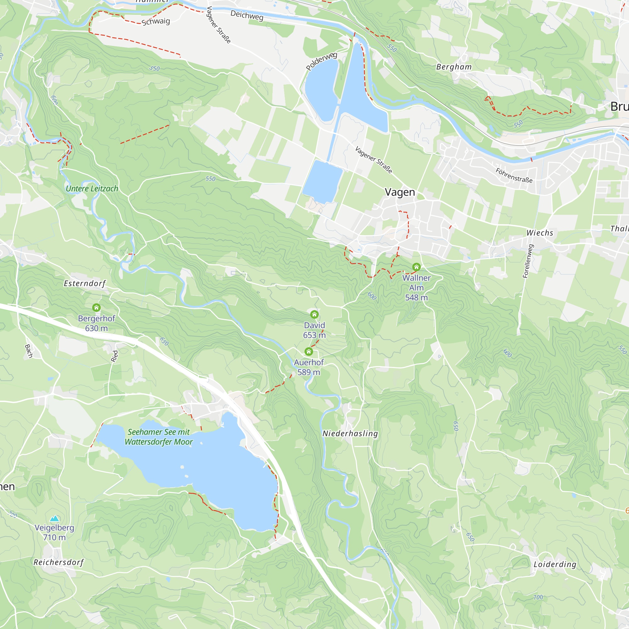 David map