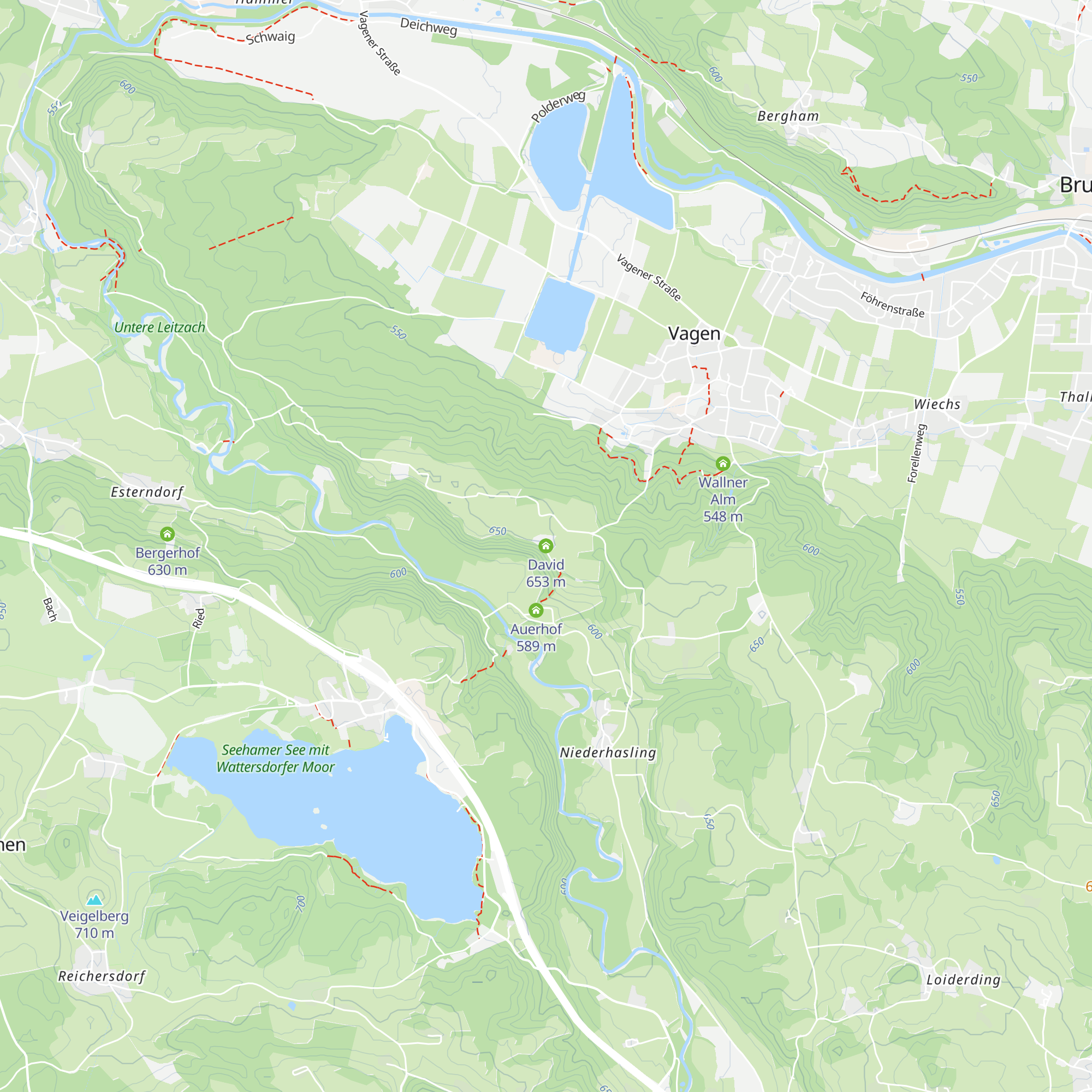 David map