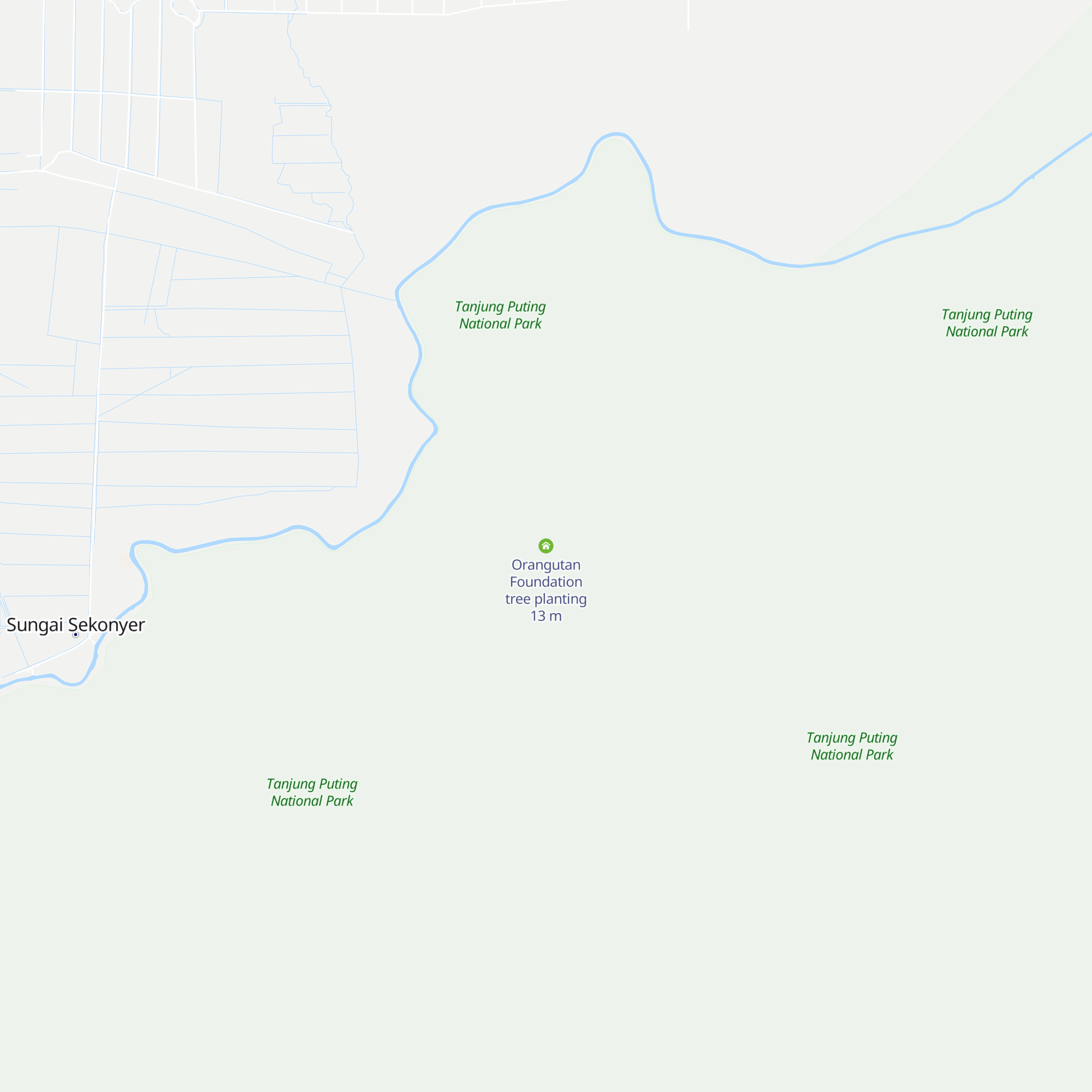 Orangutan Foundation tree planting map